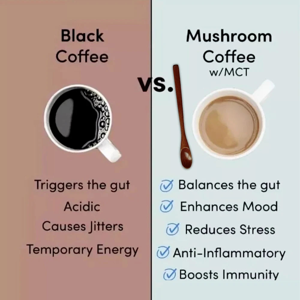 Bunkell Mushroom Coffee – Premium 6 Mushroom Coffee Blend for Energy, Focus, and Immune Support
