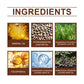 EELHOE Jojoba Oil 100ml Non-Greasy Deep Moisturizing Hair Care Dry Hair Nourisher Vitamin E Enriched Pine Nut Extract