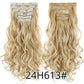 Alileader Synthetic Clip-on Hair Extensions Straight/Curly