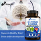 SOOMIIG Ginkgo Biloba – Brain Performance, Memory & Focus Supplement