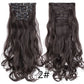 Alileader Synthetic Clip-on Hair Extensions Straight/Curly