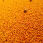 Hypoallergenic Pure Bee Pollen 3.52oz Natural Granules Rich in Amino Acids & Vitamins for Allergy Relief Enhanced Immunity Ideal for Juices Smoothies Latex-Free